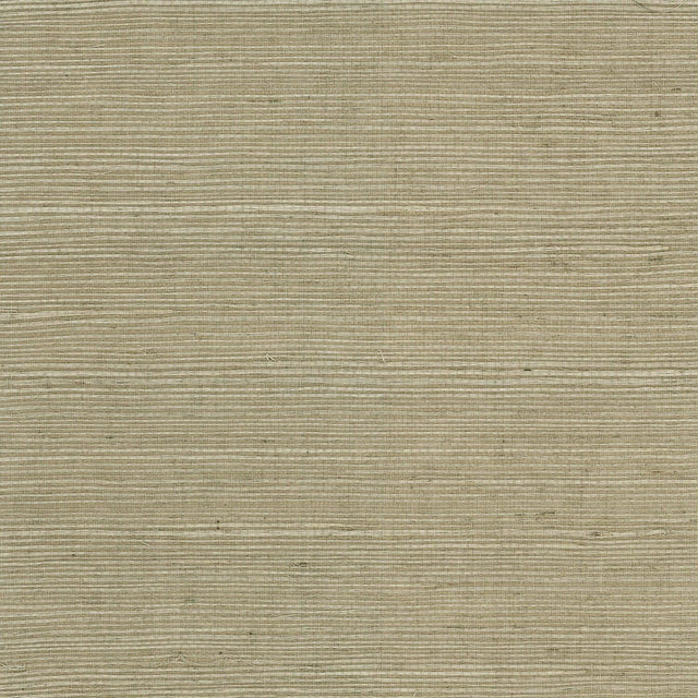 Seabrook Sisal Grasscloth Wheat Grass Wallpaper
