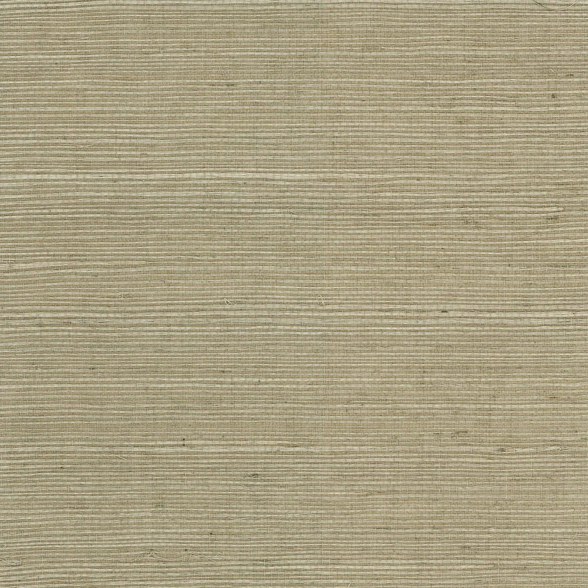 Seabrook Sisal Grasscloth Beige Wallpaper
