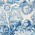 Schumacher Modern Toile Indigo Fabric