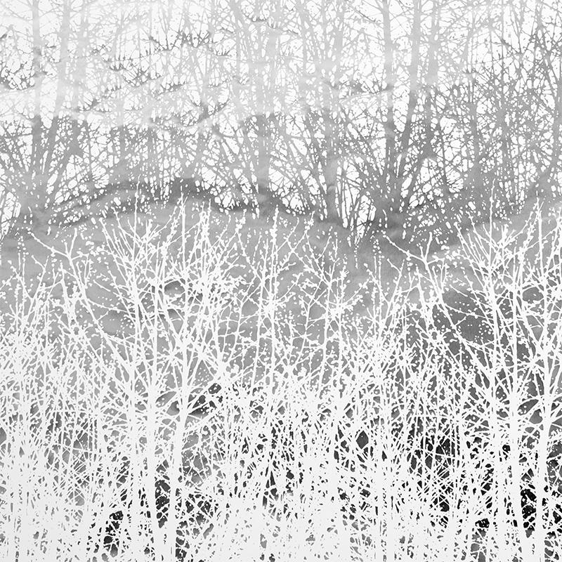 Schumacher Birches Silver Wallpaper