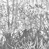 Schumacher Birches Silver Wallpaper