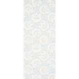 Schumacher Jackie Sky Wallpaper