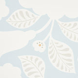 Schumacher Jackie Sky Wallpaper