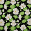 Schumacher Nasturtium Noir Wallpaper