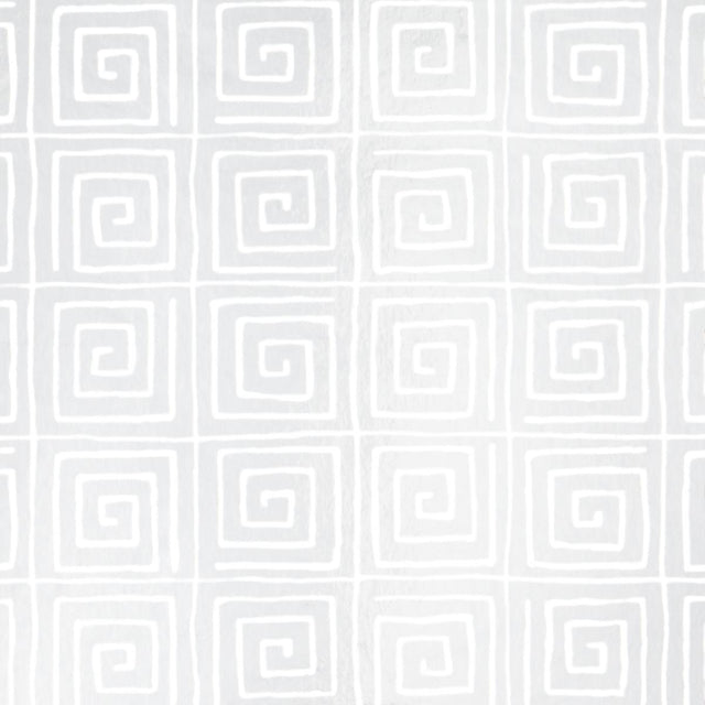 Schumacher Trousdale Metallic Platinum Blanc Wallpaper