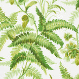 Schumacher Myers Fern Tropical Wallpaper