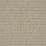 Schumacher Manning Stripe Indoor/Outdoor Lime Fabric