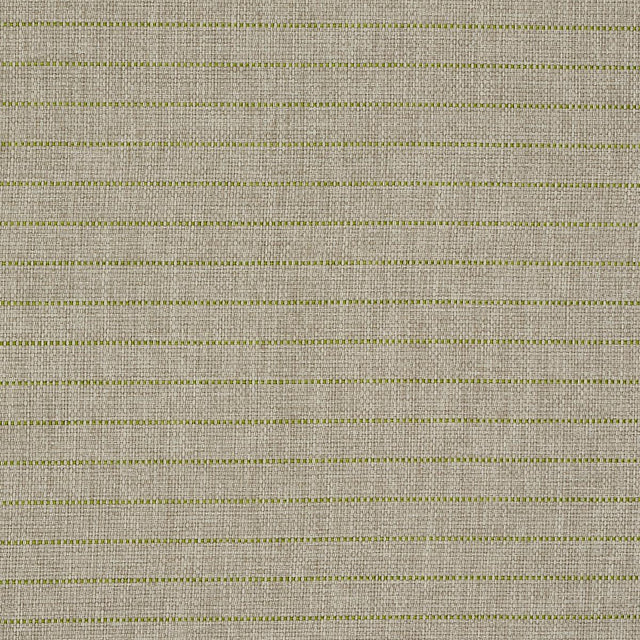 Schumacher Manning Stripe Indoor/Outdoor Lime Fabric