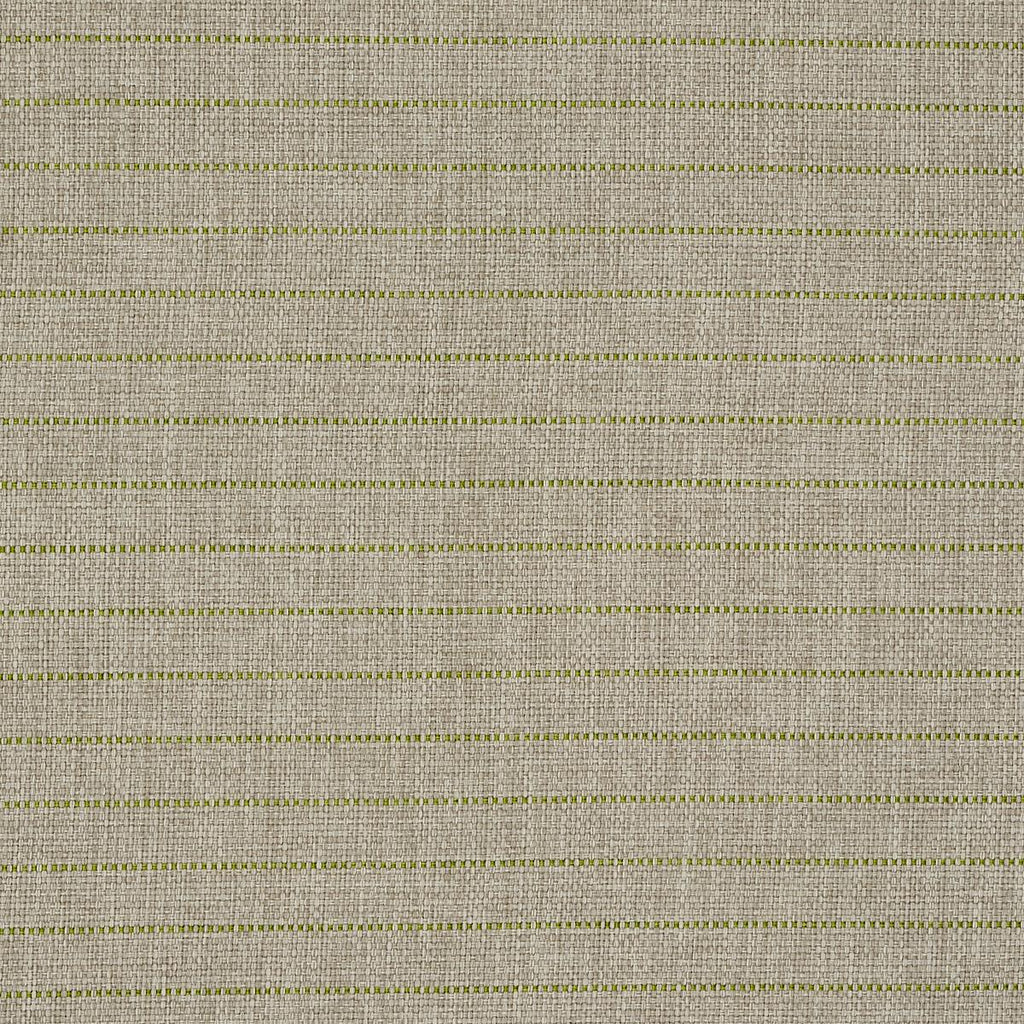Schumacher Manning Stripe Indoor/Outdoor Lime Fabric