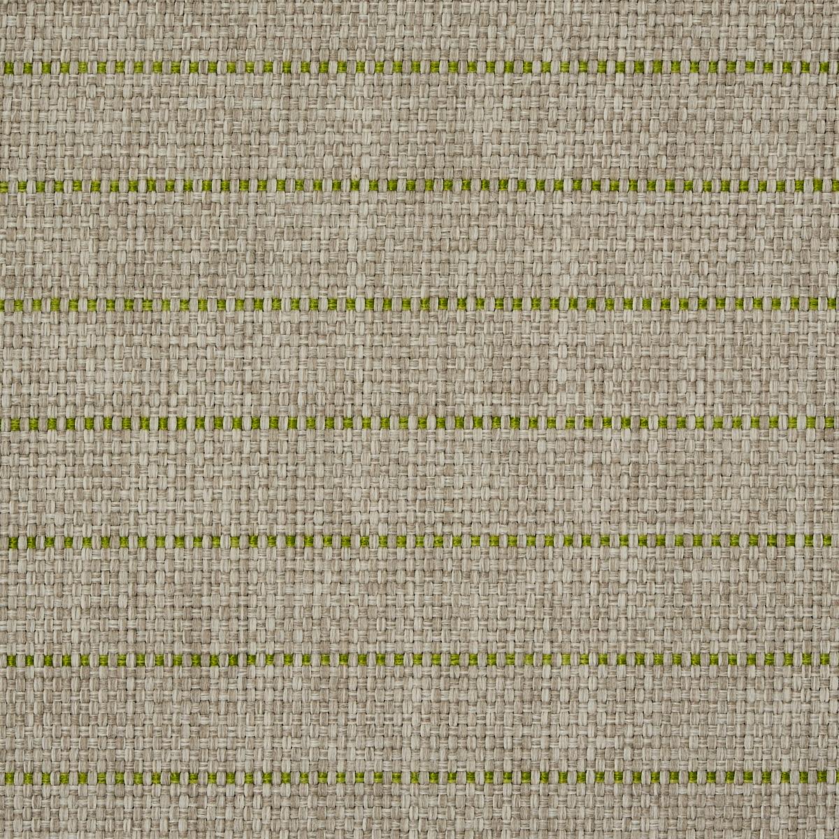 Schumacher Manning Stripe Indoor/Outdoor Lime Fabric