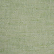 Schumacher Camarillo Weave Indoor/Outdoor Leaf Fabric