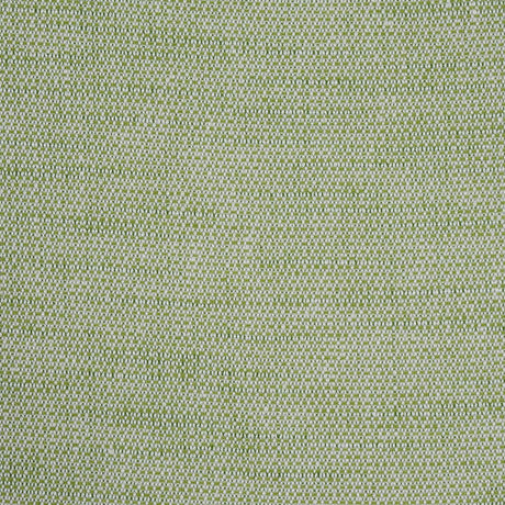 Schumacher Camarillo Weave Indoor/Outdoor Leaf Fabric