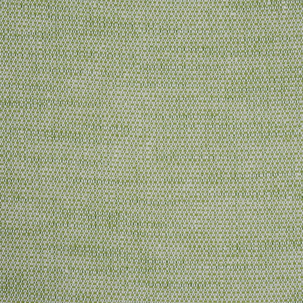 Schumacher Camarillo Weave Indoor/Outdoor Leaf Fabric