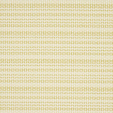 Schumacher Branford Indoor/Outdoor Lime Fabric
