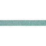 Schumacher Pierce Tape Indoor/Outdoor Aqua Trim