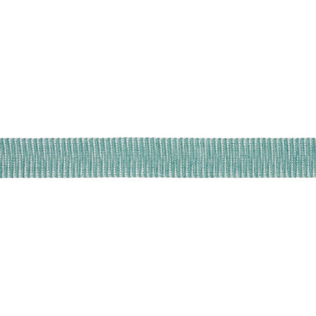 Schumacher Pierce Tape Indoor/Outdoor Aqua Trim