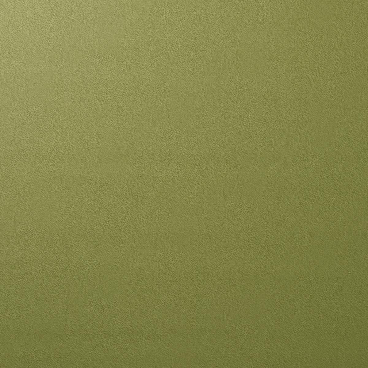 Schumacher Vegan Leather Indoor/Outdoor Moss Fabric