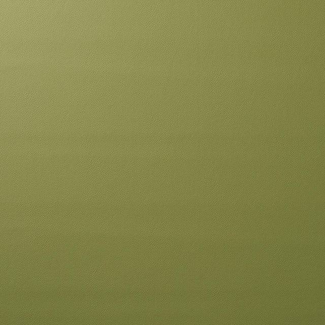 Schumacher Vegan Leather Indoor/Outdoor Moss Fabric