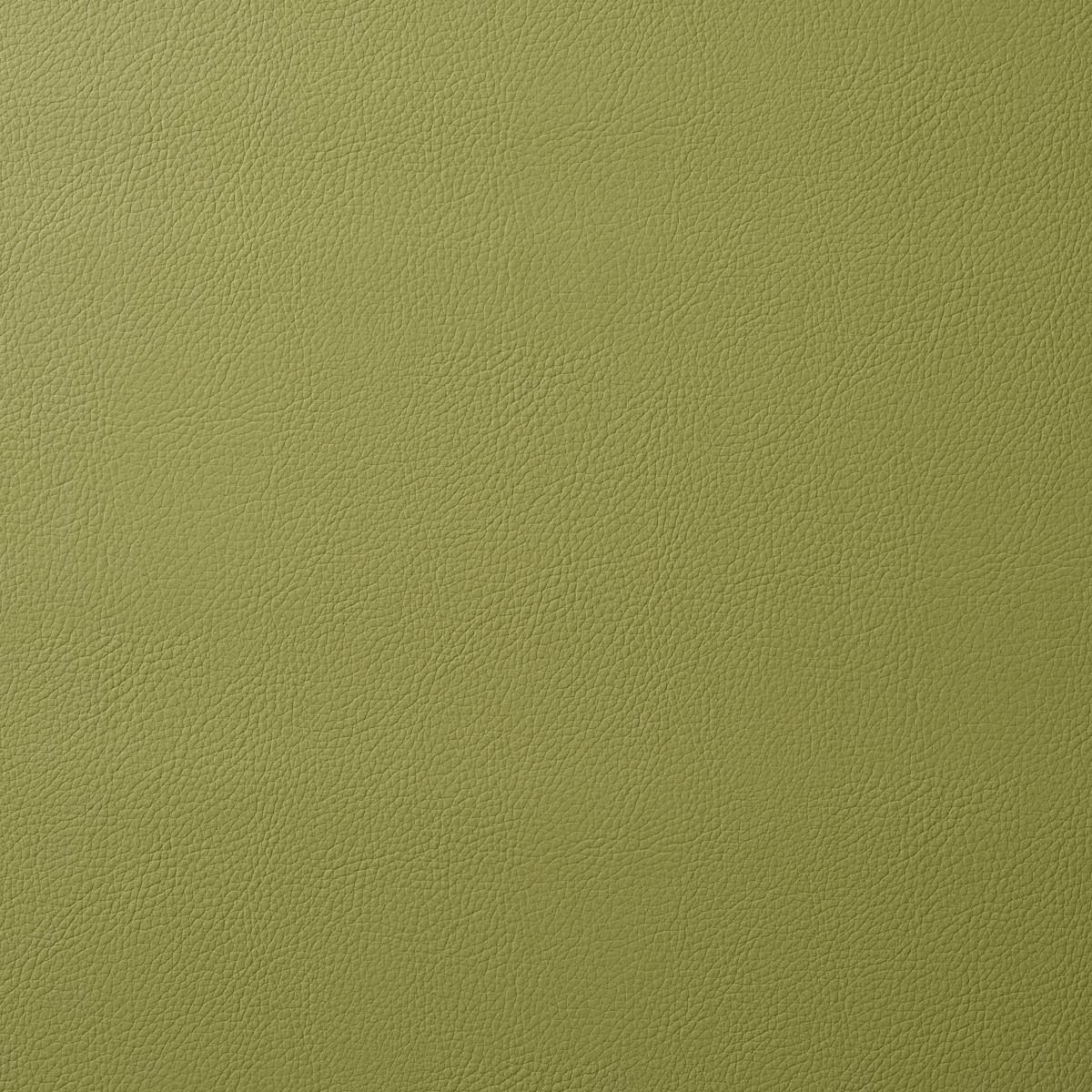 Schumacher Vegan Leather Indoor/Outdoor Moss Fabric