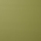 Schumacher Vegan Leather Indoor/Outdoor Moss Fabric