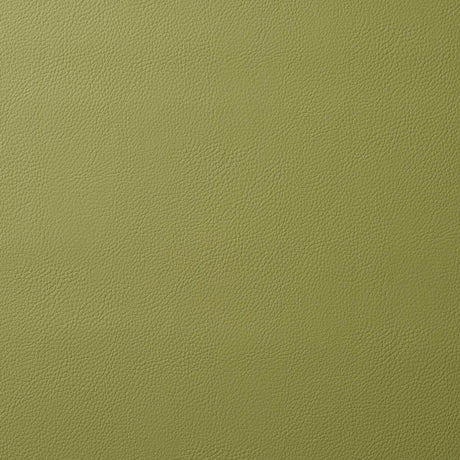 Schumacher Vegan Leather Indoor/Outdoor Moss Fabric