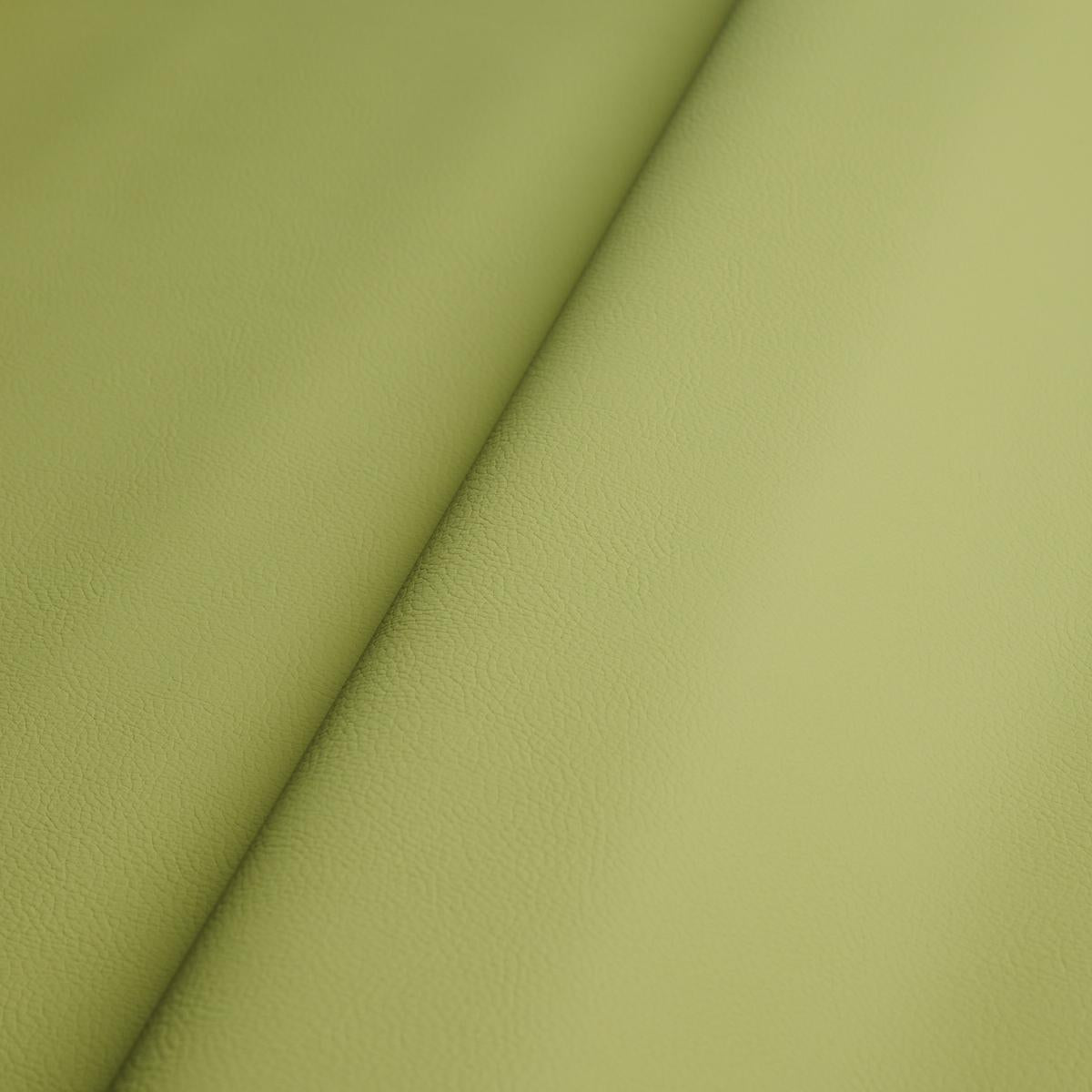Schumacher Vegan Leather Indoor/Outdoor Moss Fabric