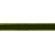 Schumacher Moss Velvet Tape Narrow