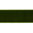 Schumacher Moss Velvet Tape Wide