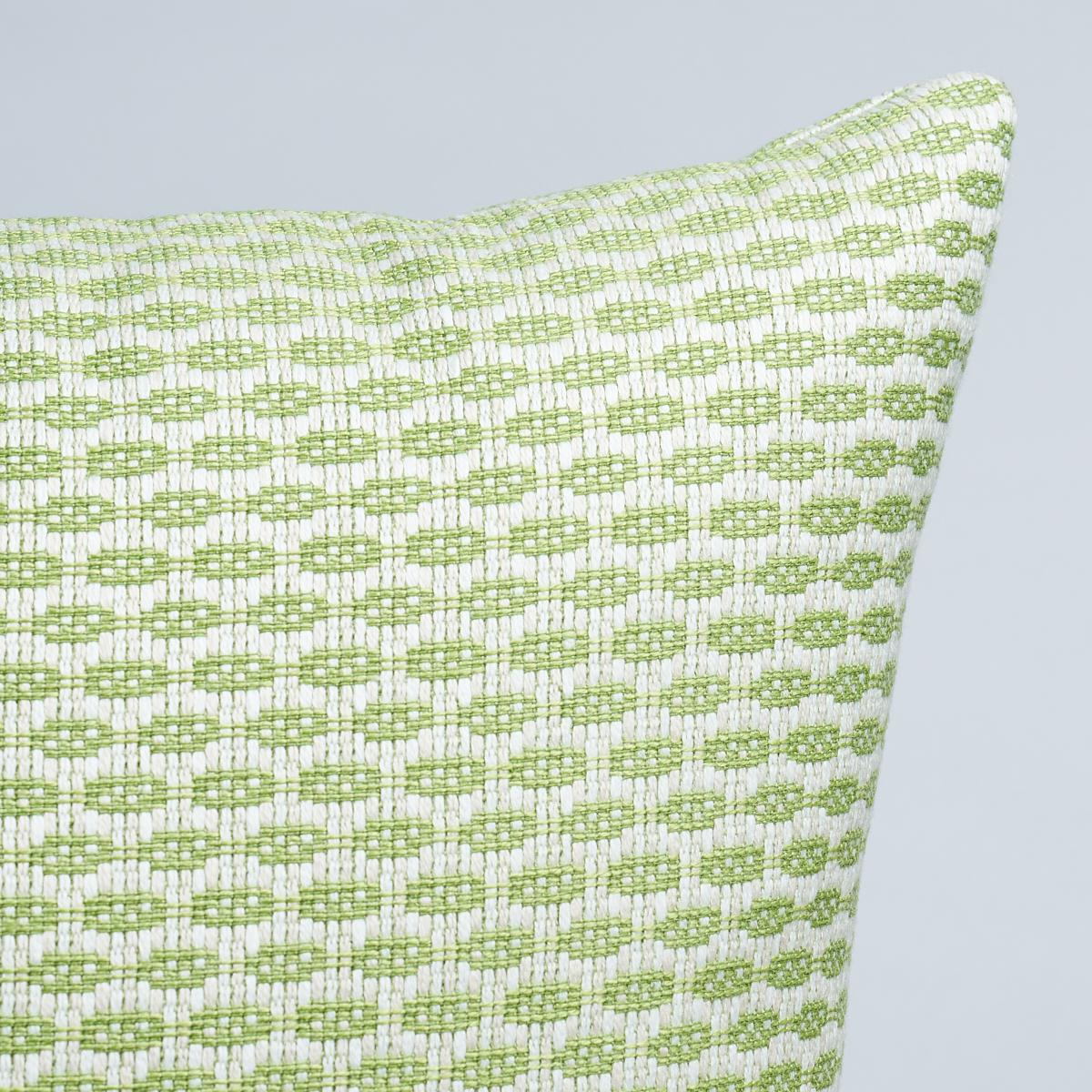 Schumacher Hickox Indoor/Outdoor Green 20" x 20" Pillow