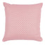 Schumacher Hickox Indoor/Outdoor Coral 20" x 20" Pillow