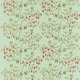 Sanderson Chinese Lantern Mint & Apricot Fabric