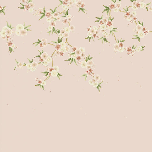 Harlequin Rosa Blush Pearl/Peony/Meadow Wallpaper
