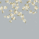 Harlequin Rosa Feather Grey/ Paper Lantern/Oyster Wallpaper