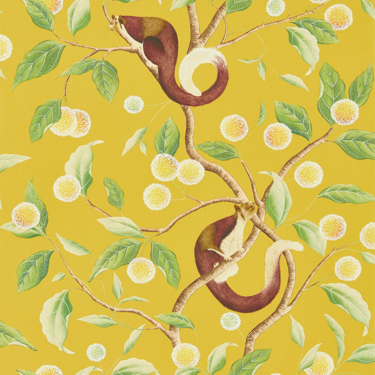 Harlequin Nellie Honey/Meadow Wallpaper