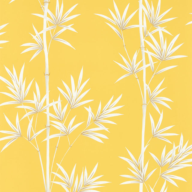 Harlequin Isabella Honey/Porcelain Wallpaper