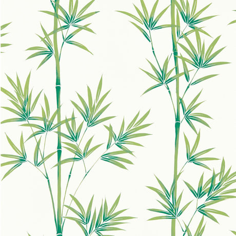 Harlequin Isabella Porcelain/Bamboo Wallpaper