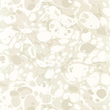 Harlequin Marble Awakening/Oyster/Champagne Wallpaper