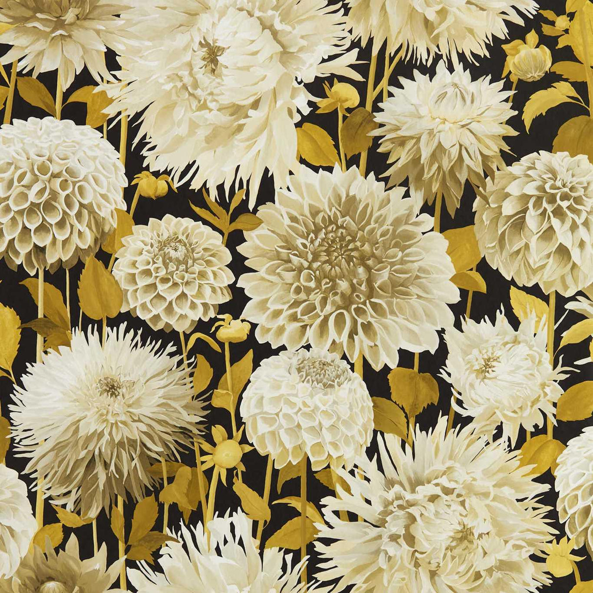 Harlequin Dahlia Fig Blossom/Nectar/Black Earth Wallpaper