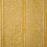 Pindler EASTMAN SOLEIL Fabric