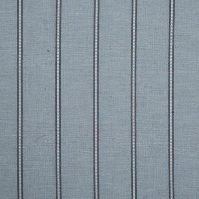 Pindler BARNABY MIST Fabric