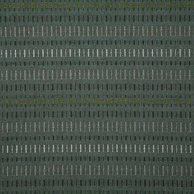 Pindler RENEGADE MOSS Fabric