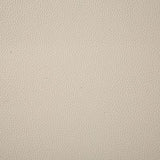 Pindler AMBUSH IVORY Fabric