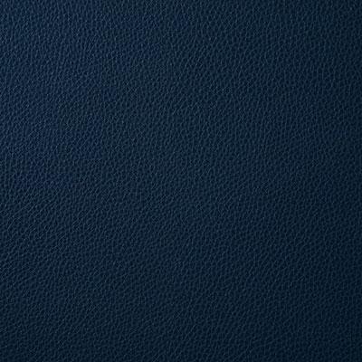 Pindler AMBUSH SAPPHIRE Fabric