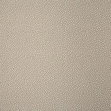Pindler SHAGREEN SAND Fabric