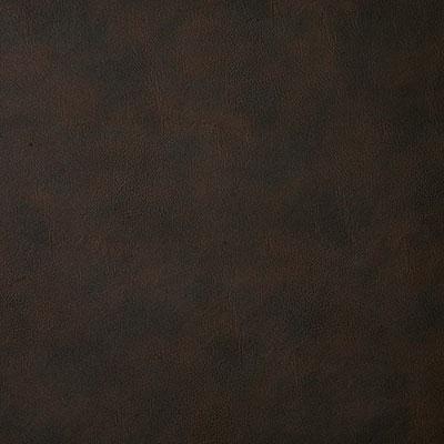 Pindler BANDWAGON CLOVE Fabric