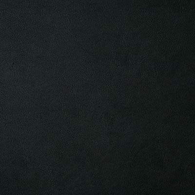 Pindler BANDWAGON COAL Fabric