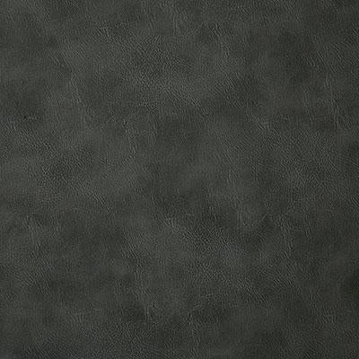 Pindler BANDWAGON PEWTER Fabric