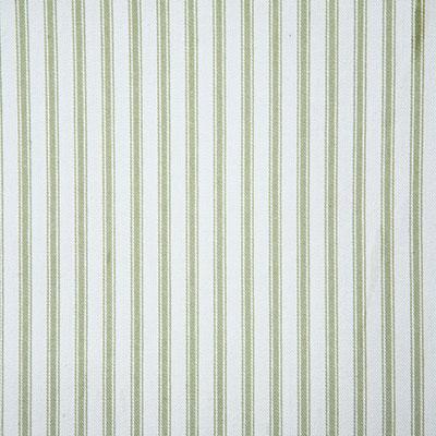 Pindler TRUDIE FERN Fabric