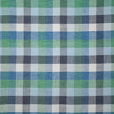 Pindler DELIA OASIS Fabric