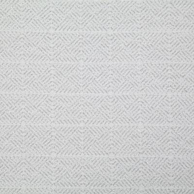 Pindler RIDLEY FOG Fabric
